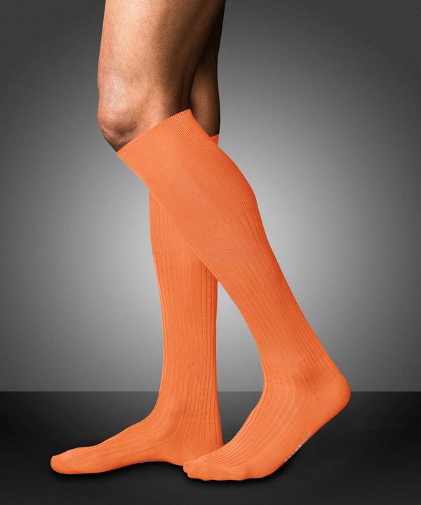 Actual product image Falke No. 10 KH (41 - 42)