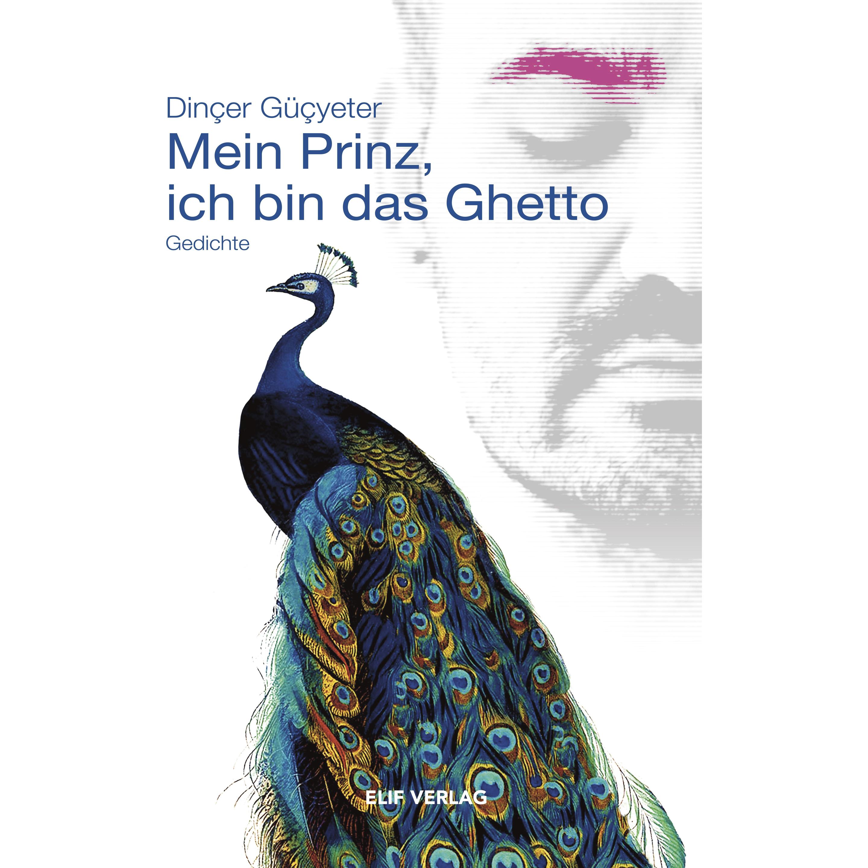 Mein Prinz, ich bin das Ghetto, Belletristik von Dinçer Güçyeter