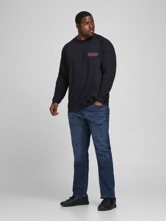 Produktbild Jack & Jones Glenn Original AM 812 Plus Size Slim Fit Jeans (44)