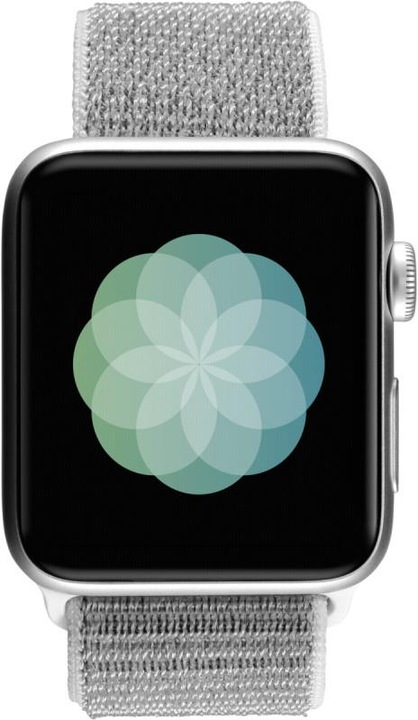 Produktbild Apple Watch Series 3 (42 mm, 4G)