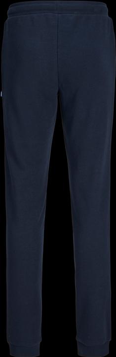 Actual product image Jack & Jones JPSTELOGO SWEATPANTS 2COL 24/25 NOOS JNR (152)