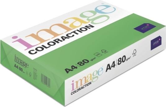 Image du produit Antalis Papier à copier Image Coloraction A4, vert foncé, 500 feuilles (A4, 500 feuilles, 80 g/m²)