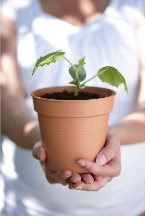 Actual product image Elho Green Basic (35 cm)