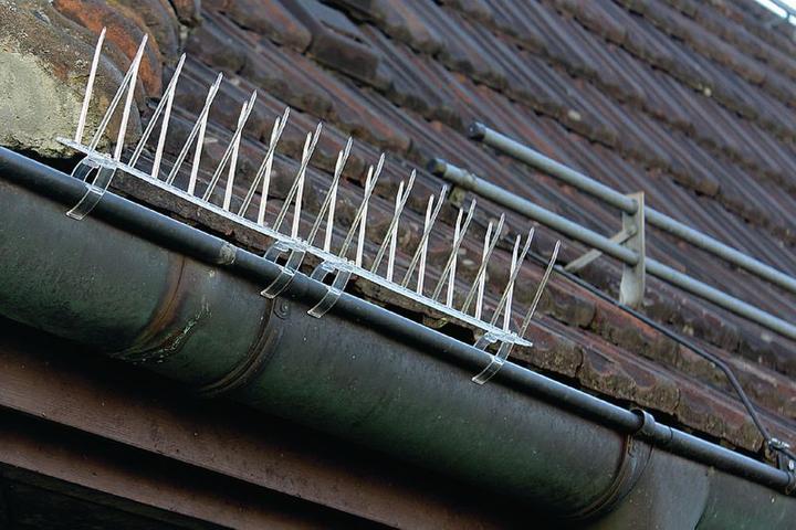 Produktbild Swissinno Clips 6er für Montage von Taubenabwehr-Spikes an Dachrinnen