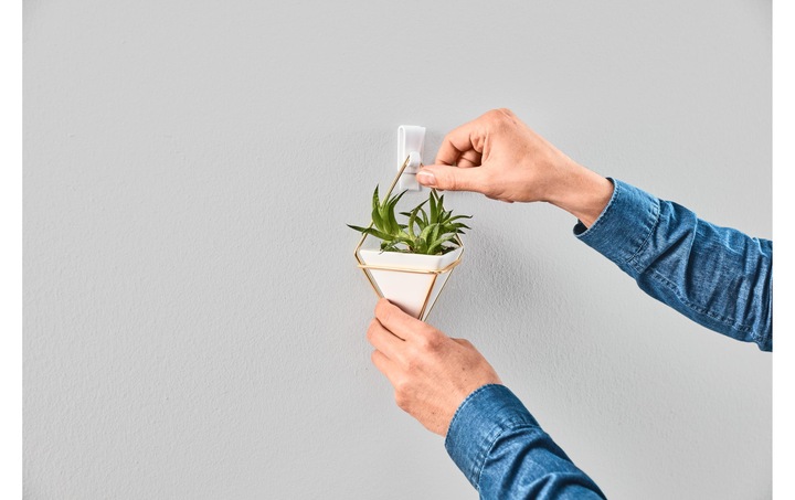 Actual product image tesa Adhesive hooks
