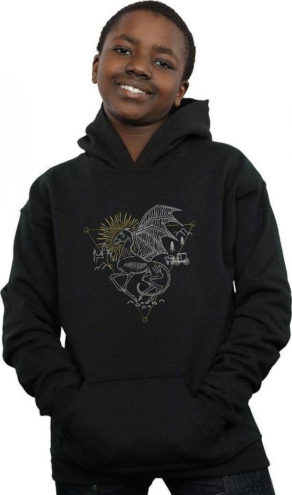 Actual product image Boys Thestral Line Art Hoodie (152, 158)