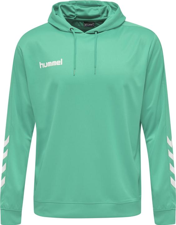 Immagine prodotto hummel Felpa Con Cappuccio In Polietilene Promozionale (XL)