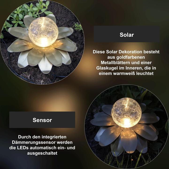 Image du produit Star Trading Solar Decoration Lilly (IP44)
