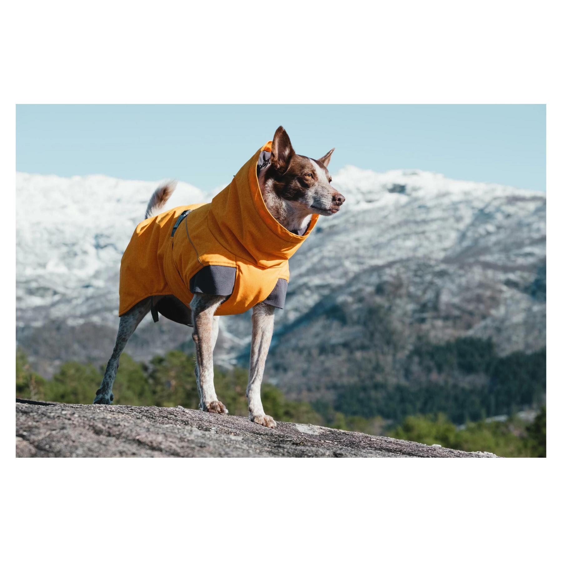 Thumbnail - Hurtta Expedition (55, M, Hundemantel), Hundebekleidung