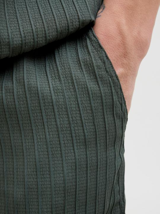 Actual product image Jack & Jones Regular Fit Relaxed Fit Shorts Relaxed Fit Shorts (S)