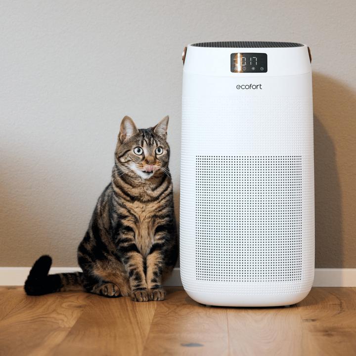 Actual product image ecofort ecoQ CleanAir 400 (80 m²)