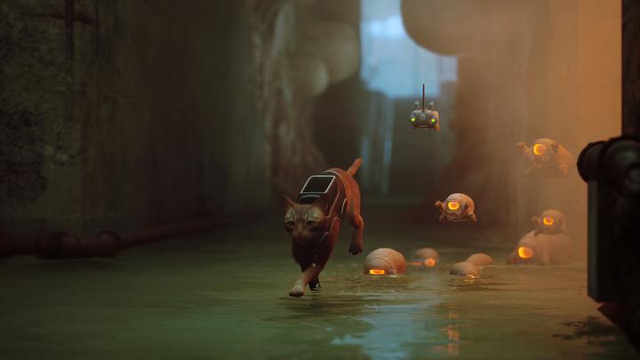 Produktbild Annapurna Interactive Stray (PS5, EN)