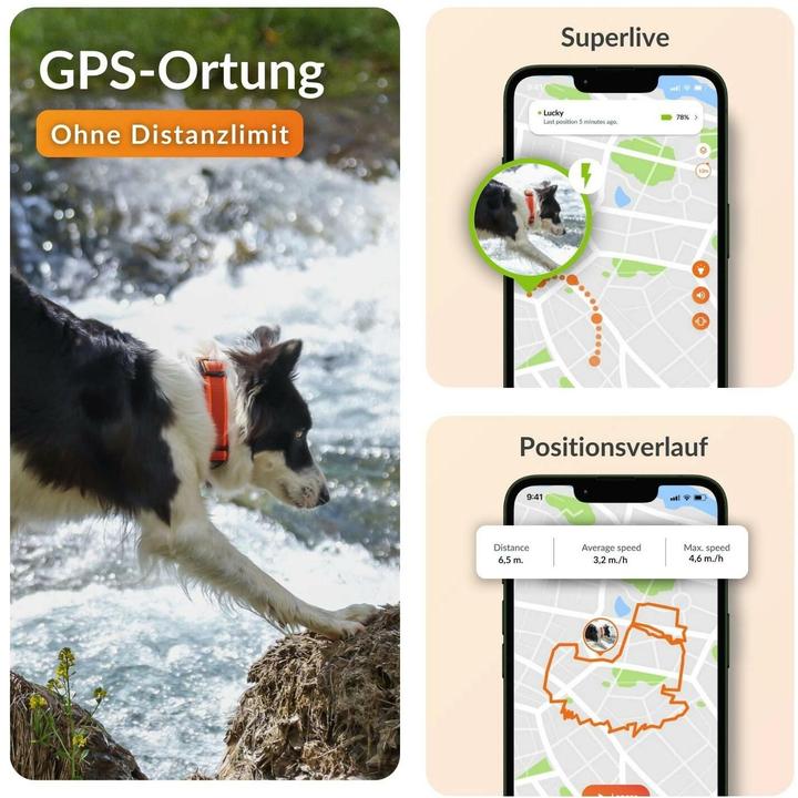 Actual product image Weenect GPS tracker for dogs (Dog)