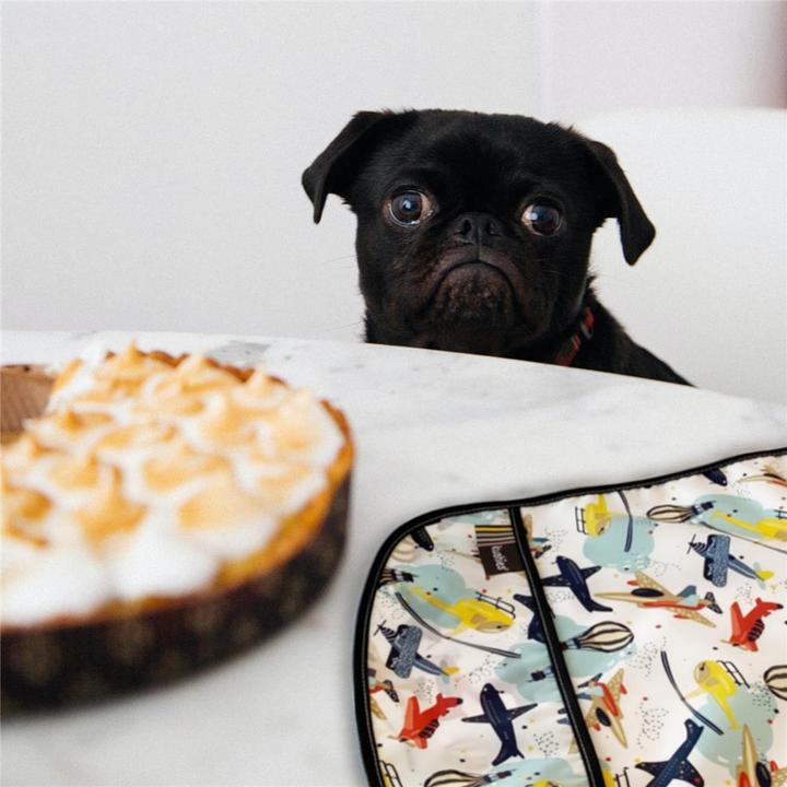 Produktbild Kushies ohne Ärmel CleanBib Flugzeuge (6 Monate)