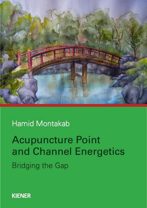 Produktbild Acupuncture Point and Channel Energetics (Englisch, Hamid Montakab, 2018)