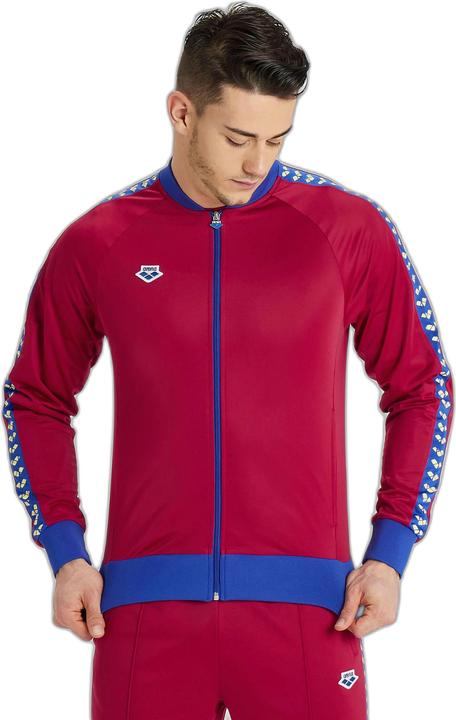 Actual product image Arena M Relax Iv Team Jacket (XL)