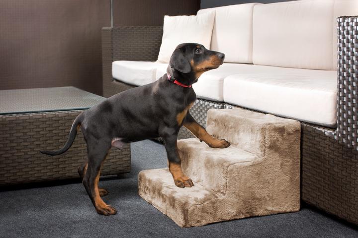 Image du produit Karlie un geste simple (Chien)