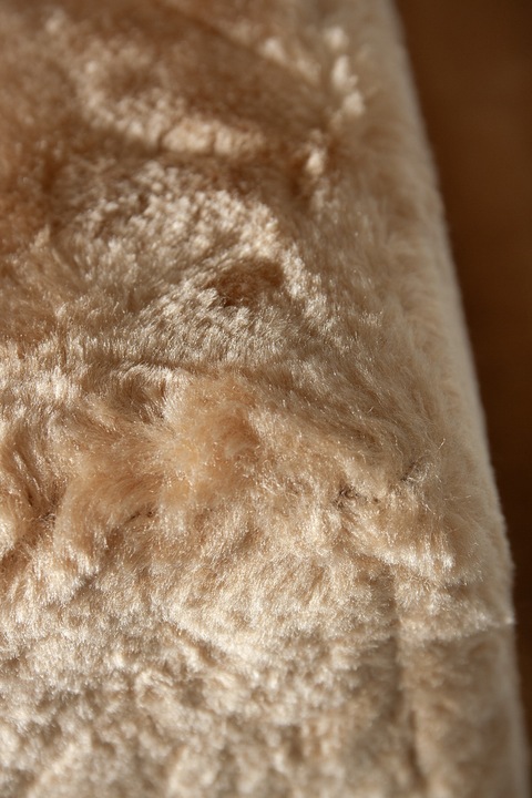 Actual product image Karlie easy step (Dog)