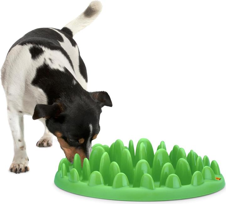 Image du produit Northmate Écuelle interactive