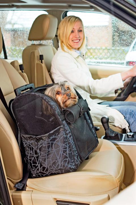 Immagine prodotto Karlie Smart Trolley City Nylon (Gatto, Cane, Traspirante)