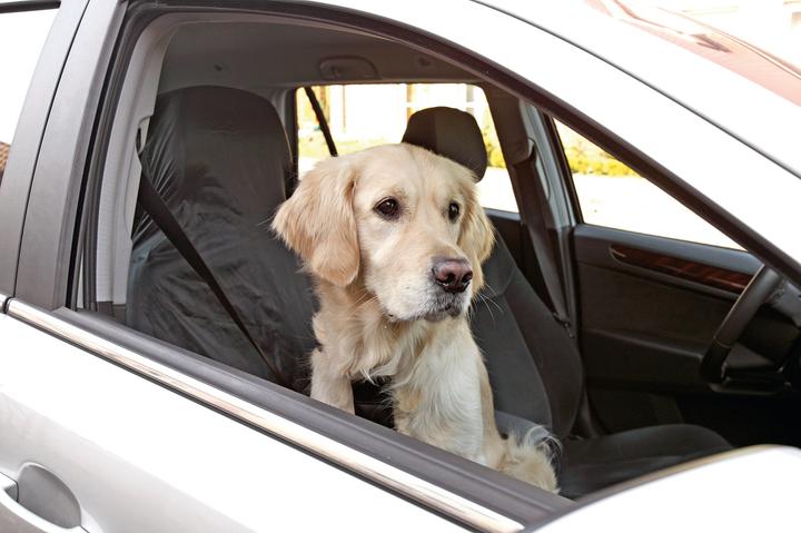 Karlie Cover-up (Hund, Komplett zu öffnen, Faltbar)