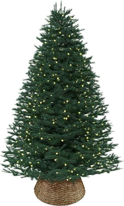 Immagine prodotto Meisterhome Weihnachtsbaum-Kragen aus Seegras