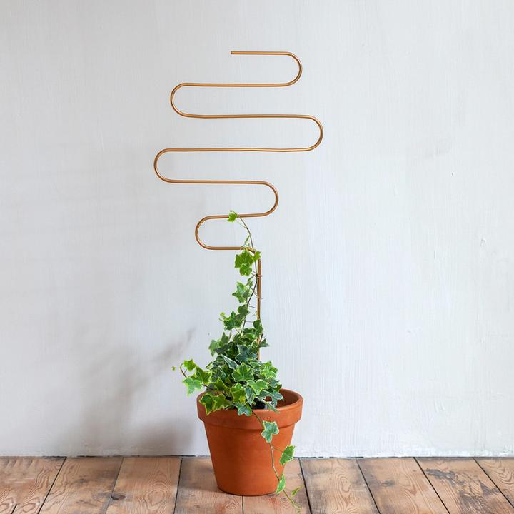 Produktbild Botanopia Rankhilfe Squiggle Gold (100 cm)