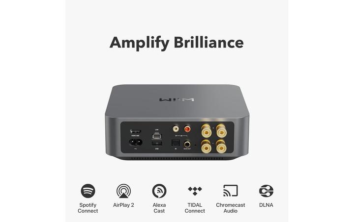 Actual product image WiiM Amp (Amplifier)