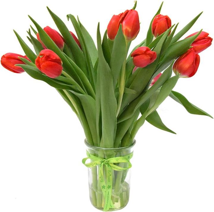 Rutishauser Blumen Tulipes (Fleurs coupées)