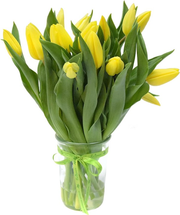 Rutishauser Blumen Tulipani (Fiori recisi)