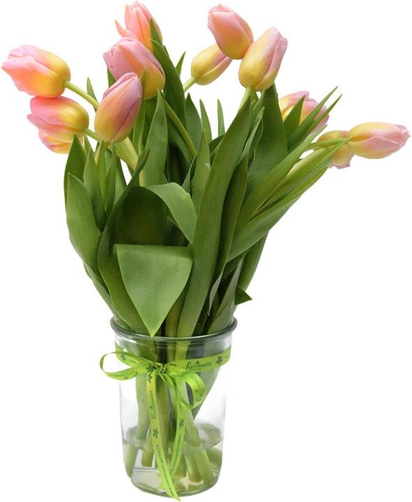 Rutishauser Blumen Tulpen (Schnittblumen)