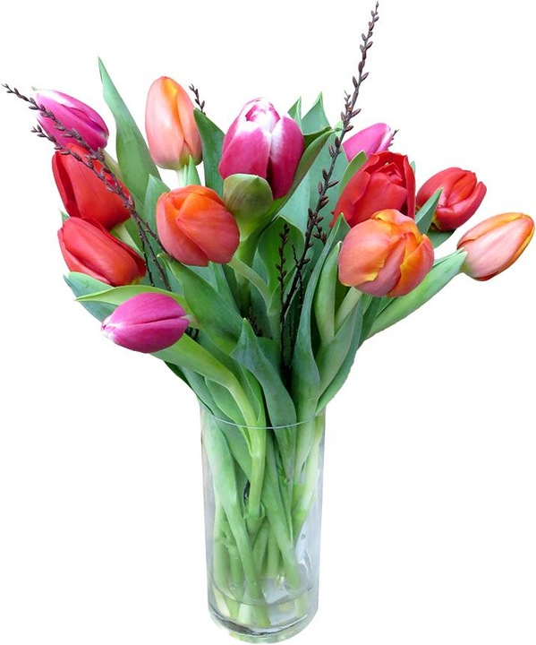 Rutishauser Blumen Miscela di tulipani (Fiori recisi)