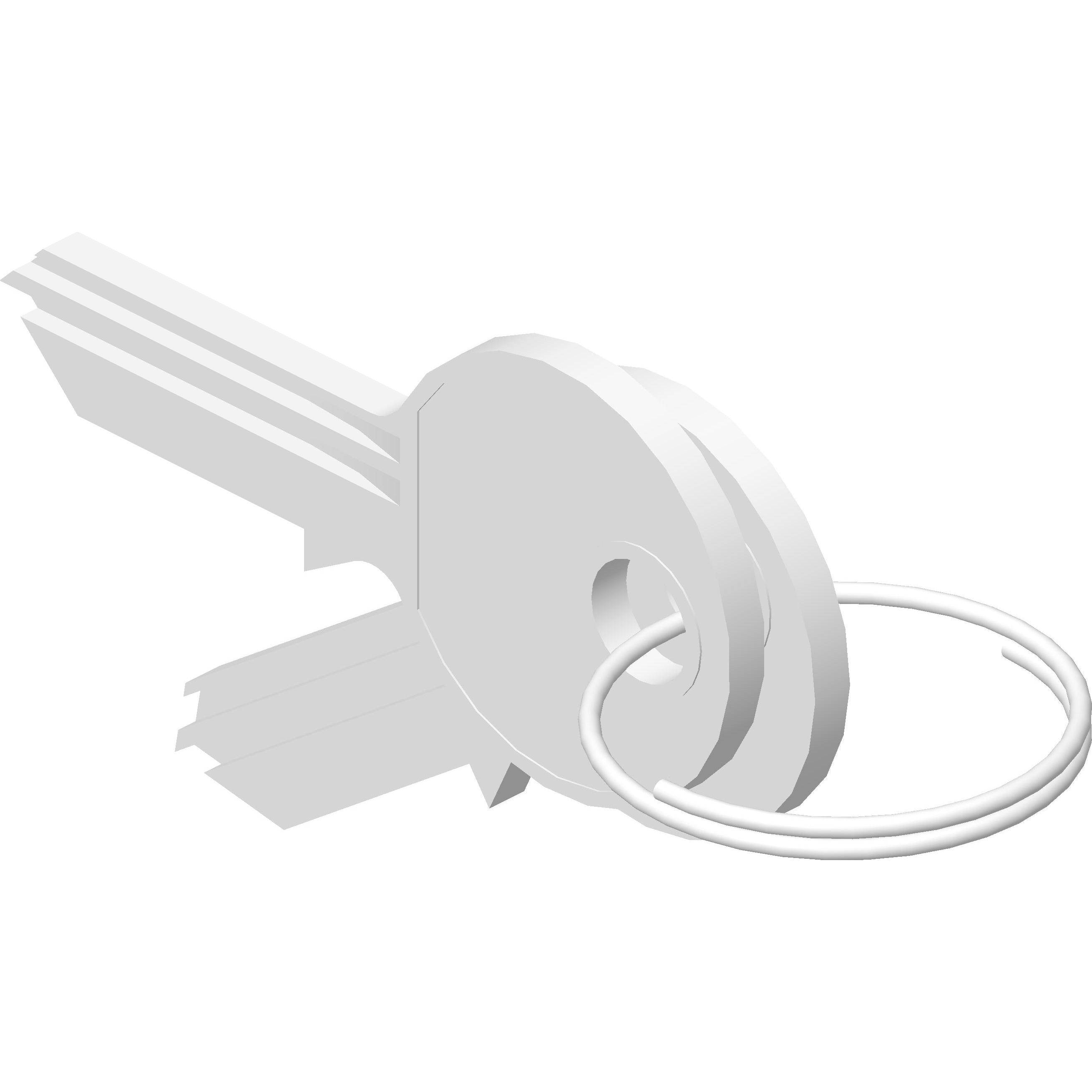 Thumbnail - Enoc Schlüssel 101 Paar f.S1/F1+diverse si, Serverschrank Zubehör, Grau