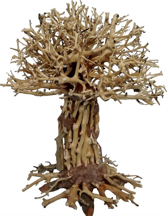 4fish Traerødder, Pagode Bonsai, 30x20x35 cm (sonstige Gegenstände)