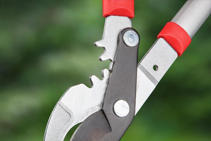 Actual product image Verto 256 Branch shears bypass
