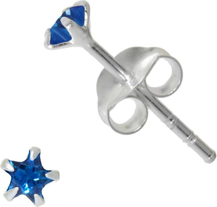 Actual product image Bijouteria Ear studs (Silver 925, Zirconia)