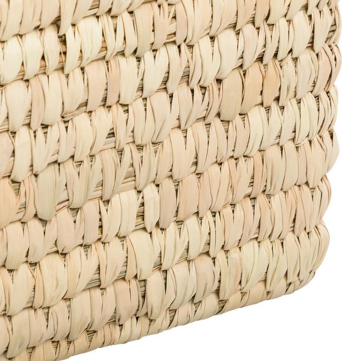 Actual product image pfister Palm (30 cm, 1x)