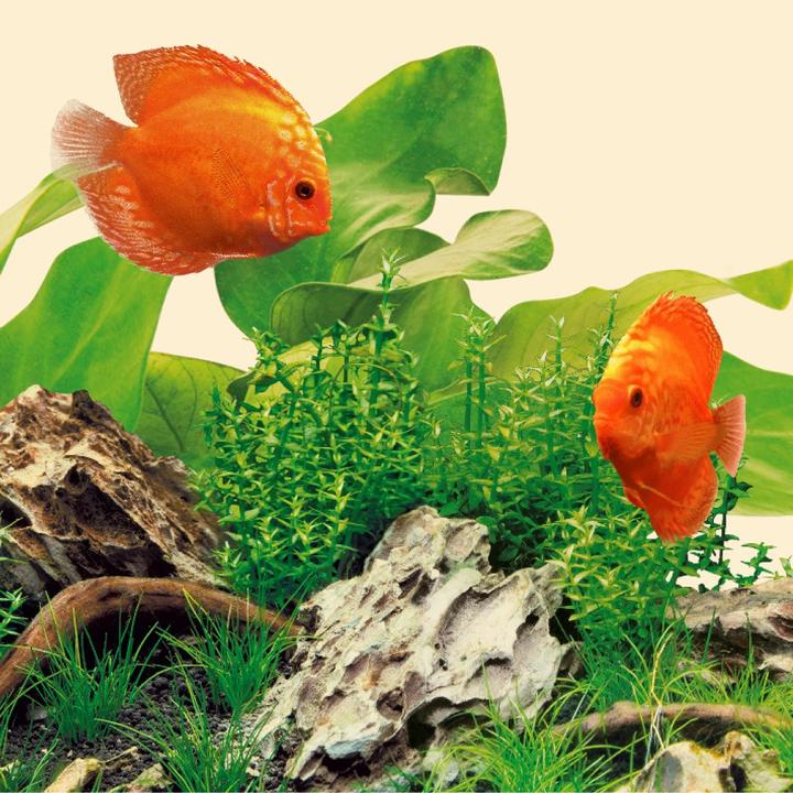Productafbeelding Juwel Aquarium LED Natuur (LED, 14 W)