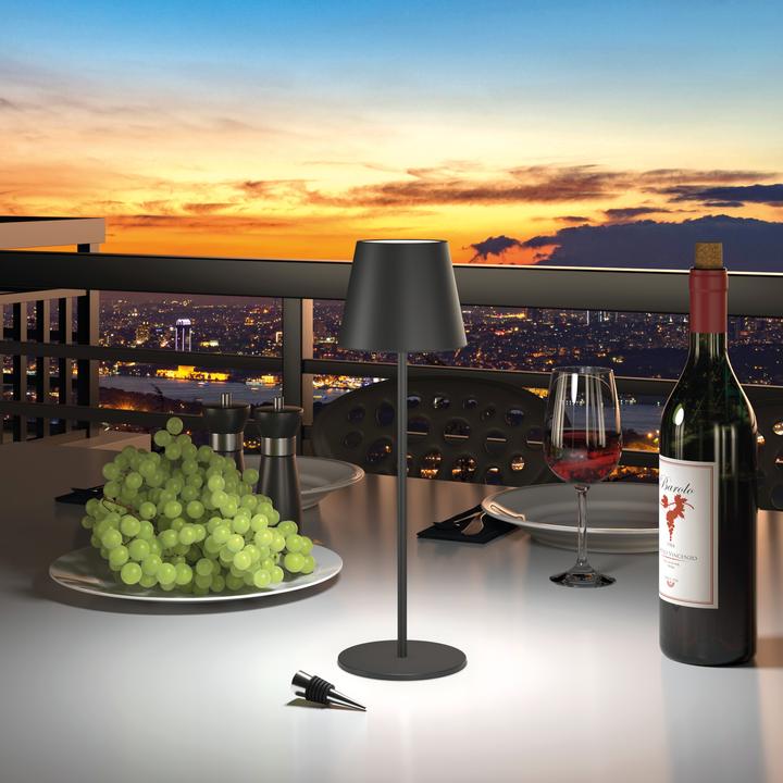 Image du produit RealPower Support de table (200 lm)