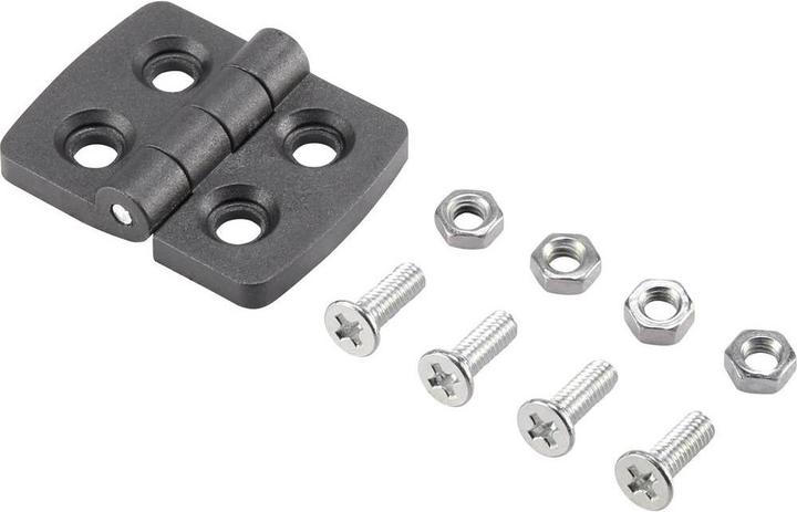 Actual product image Basetech Plastic hinge xxmm