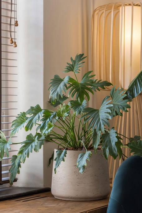 Produktbild Pottery Pots Patt XL (23 cm)