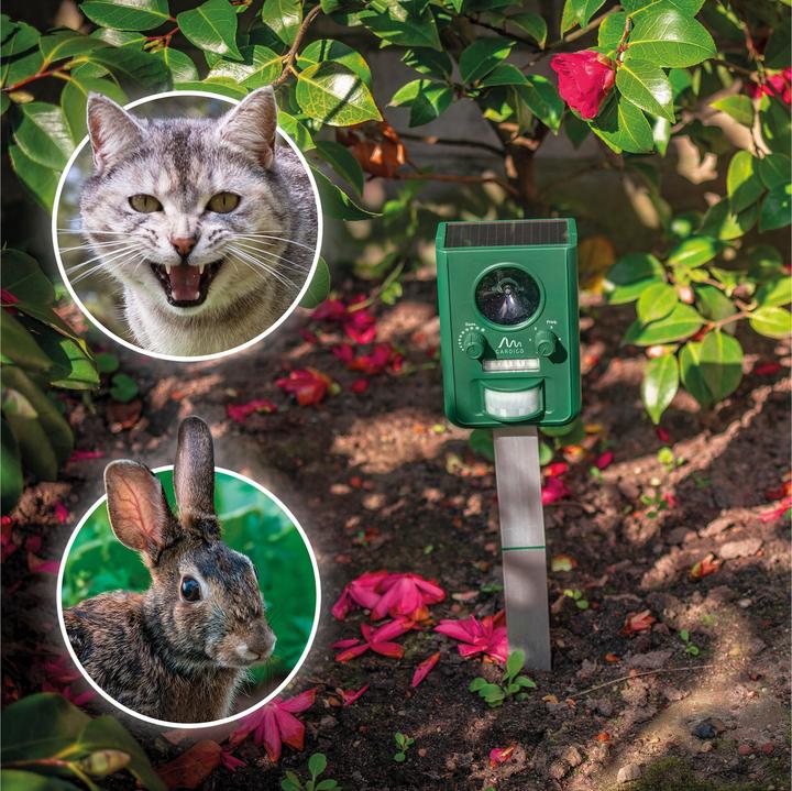 Immagine prodotto Gardigo Distributore di animali solari (2000 ml)