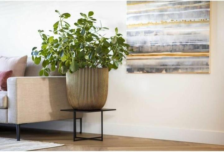 Produktbild Capi Morgan (43 x 41 cm)