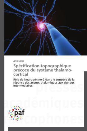 Produktbild Spécification topographique précoce du système thalamo-cortical (Deutsch, Julie Seibt, 2014)