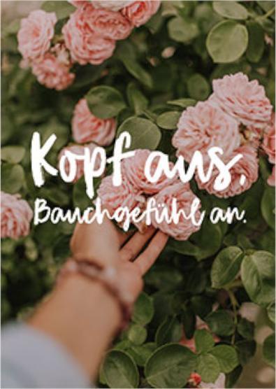 Rosa Blumen