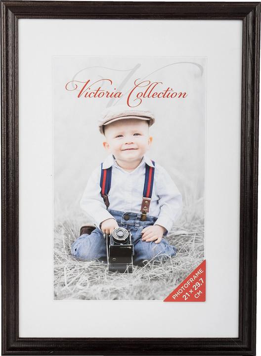 Braun Photo Photo frame Memory