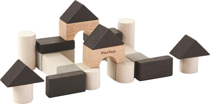 Image du produit Plantoys Les mini-blocs dans la boîte