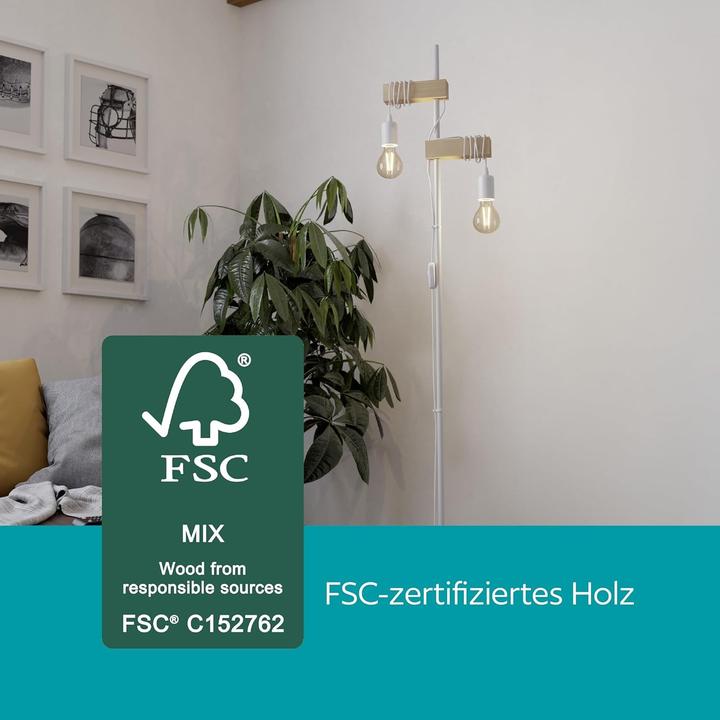 Productafbeelding EGLO Townshend (E27)