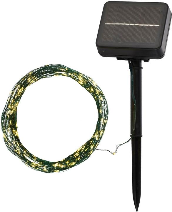 Sirius Knirke (5 m)