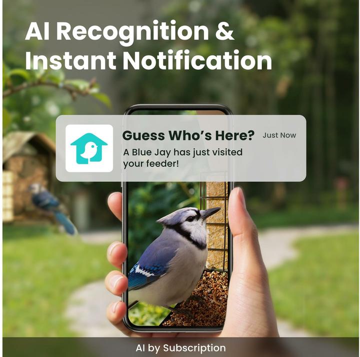Immagine prodotto Birdfy Distributore di cibo con telecamera